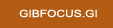 gibfocus.gi.net